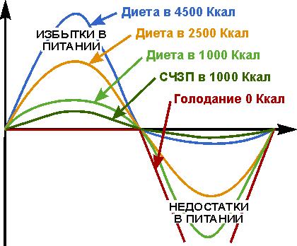 izbit1